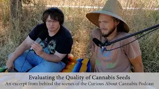 Hemp Farmer Discusses Hemp Seed Quality (Curious About Cannabis Podcast BTS)