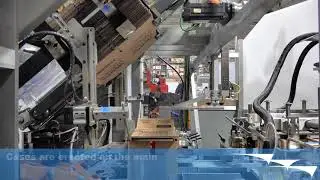 Carton Case Packer | AF-RBX - AFA Systems