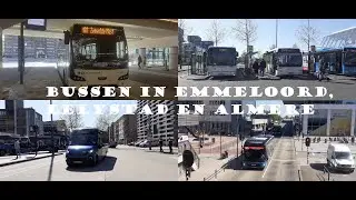 Bussen Emmeloord, Lelystad en Almere