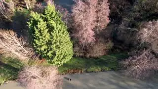 DRONE 4K VIDEO - For&ecirc;t Domaniale de Dourdan