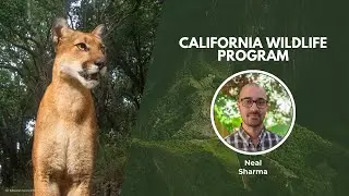 Protecting California's Wildlife | Wildlife Conservation Expo