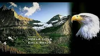 Emile & Bobo dans 