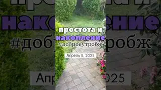 Простота и эффект накопления #gmbzh доброутро от Бж Апрель 8 2025 #утреннийкофе #фокусбж #gm