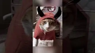 🐈&zwj;⬛ Лея &ndash; Чугайстер