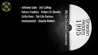 Shaolin Riddim - 1995