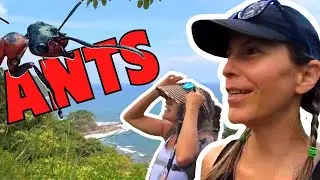 Exploring Quebrada Bonita, Jac&oacute;,Costa Rica