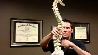Chiropractor in Denver Colorado, the truth about back pain.wmv
