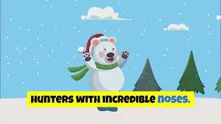 Polar Bear Secrets Kids Love Songs