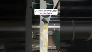 Precision in Action: UV Coated Industrial Labels with Expert Die Cutting & flexo Printing #labeling