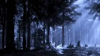 Under the firs - Standard dan moi