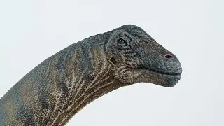 Alamosaurus