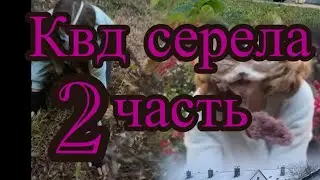 Квд сериал 2