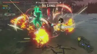 Hyrule Warriors: Age of Imprisonment, Part 18 - Chapter 5, Part 5