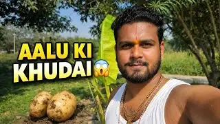 Aloo Ki Khudayi Aure Kheti 🌱 | Desi Vlog | Day 79