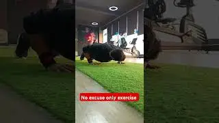 No excuse only exercise !!#fitness #health #gymmotivation #fitnessmotivation #brijeshsir