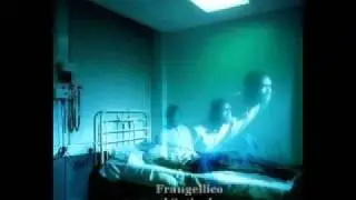 Frangellico - el satinsky