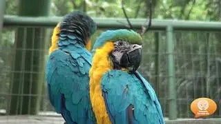 Guemb&eacute; Resort , Santa Cruz de la Sierra , Bolivia