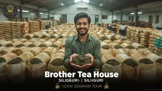 Wholesale Tea Business in India | Minimum Investment, Maximum Profit! #tea #ctc #darjeelingtea #bui