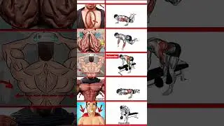 full back home workout plan #workout #shoulder #chest #sixpack #back #legs #triceps