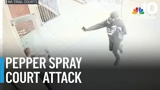 RAW VIDEO: Man in gas mask pepper-sprays court officers, is tackled