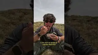 Zampando conmigo