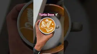 Cappuccino Art :- European Turtle dove Bird 🕊️