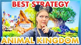 This is The BEST Strategy to do EVERYTHING in Disney World &mdash; Animal Kingdom