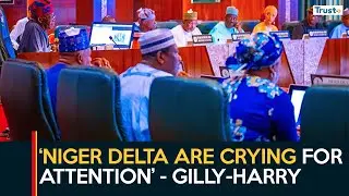 Niger Delta are consistently crying for attention, Gilly-harry comments on new ministry