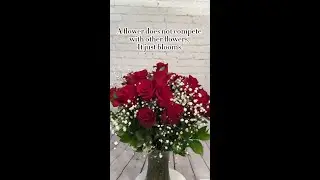 Bloom Like a Flower