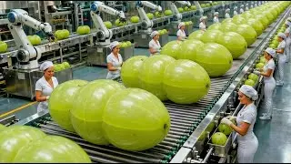 Inside a Modern Amla Factory 🍏 | From Raw Amla Fruits to Finished Products (Full Process)