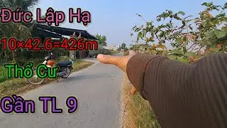 ĐẤT MT NHỰA ĐỨC LẬP HẠ ĐỨC HÒA LONG AN CŨ 10×42.6=426M THỔ CƯ GẦN TL 9 DÂN CƯ ĐÔNG