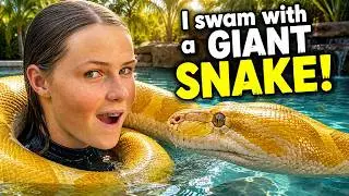 Плавание с самой большой змеей Африки &mdash; в честь легендарной рептилии! 🌍🐍