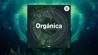 Toulouse - Damask Rose [Tibetania Records]