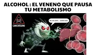 ¿Qué pasa con tu hígado tras 30 días sin alcohol? Ciencia explicada
