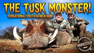 🎬 Day 5 | A Plot Twist in the African Bush | South Africa Hunting Safari 🇿🇦