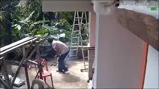 My father cooking Tilapia for the painters