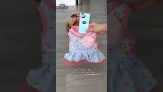 Unboxing ASMR: New Dog Harness Dress! 🐩 #dog #shorts #unboxing