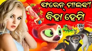 Foren tukel bihahemi comedy । sambalpuri cartoon comedy । Chitrasen comedy । chitrasen tv