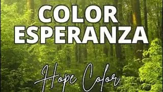 Clase 553 &ldquo;Color Esperanza&rdquo;, by Diego Torres
