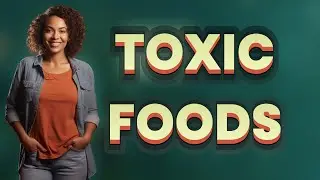 Why Are Some Human Foods Toxic to Pets but Safe for Us?
