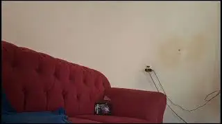 Throwing my Deltarune decoration for no reason unless to create content for this channel