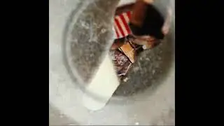 Tunnel animation from Carl Vermont 