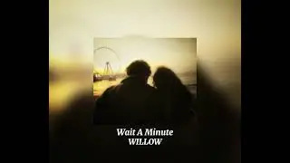 WILLOW-Wait A Minute