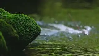 Waterfall for sleeping at night || Soft River Sounds for Relaxation, Sleep, Calm