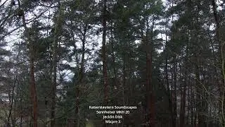 Kaiserslautern Soundscapes / Mixpre 3 / Sennheiser MKH 20's / Field Recording / Jecklin Disk