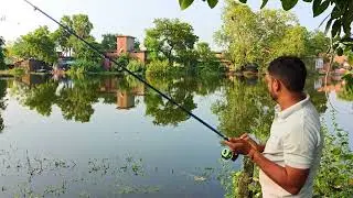 मछली कैसे पकडें || briged फिशिंग Fish Hunting || Amazing fishing Video || Hook Bite Fishing