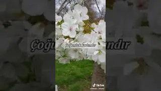 Kolayca Ağlayan İnsanlar Hakkında Bazı Duyumlar☯ #softvideolar