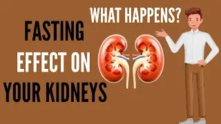 What Happens to Your Kidneys When You Do Intermittent Fasting? (Fasting Benefits)