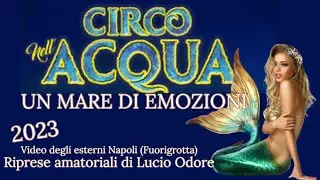Circo nell’Acqua: un mare di emozioni a Napoli (Fuorigrotta) Gennaio 2023