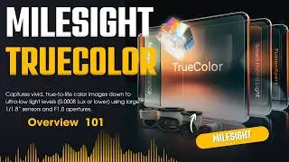Milesight AI TrueColor Bullet Camera Overview